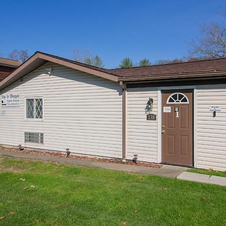 Stay In Ohiopyle Near Everything Including The Trail, Ohiopyle Pa Farmington Eksteriør bilde